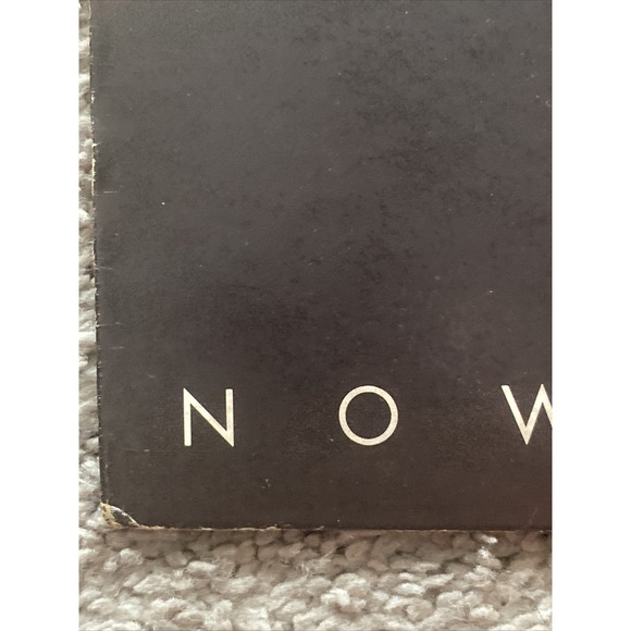 AIR SUPPLY NOW AND FOREVER‎ LP 1982 ARISTA RECORDS AL-9587 - Picture 6 of 16